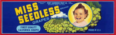 Miss Seedless